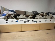 jugendbett 90x200 mit matratze