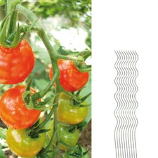 Tomatenspiralstab 110cm voll