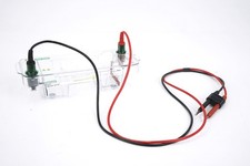 Bio-Rad Mini-Sub Cell GT