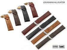 ECHT ALLIGATOR LOUISIANA