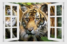 Wandtattoo Tiger in der Wildnis Tier - verschiedene Rahmentypen DW000152