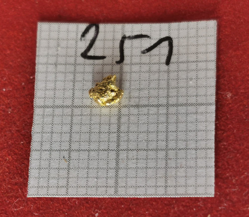 251 goldnugget alaska yukon - alaska,