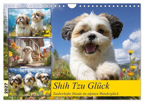 Shih tzu glück zauberhafte - shih,