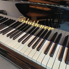Flügel blüthner mod 190cm - blüthner,