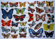 Glanzbilder Schmetterling