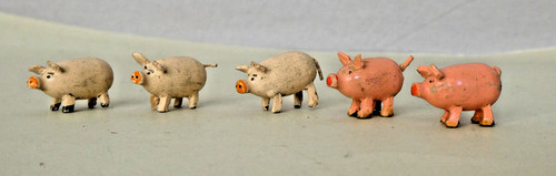 Kleine schweine alte - 5,