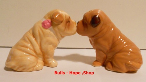 Shar pei salz - ,