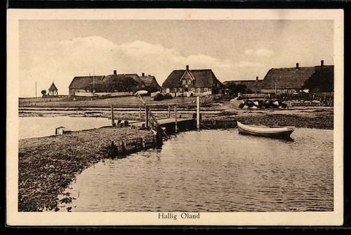 Ansichtskarte hallig oland - hallig,