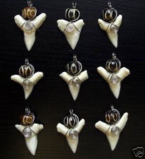 Haizahn Zahn Anhänger Surfer