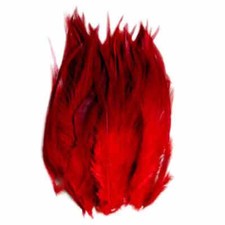 50 bunt gefärbte Federn