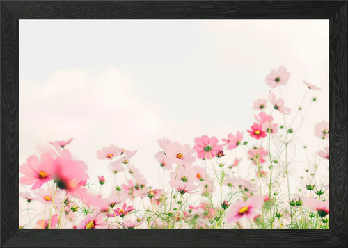 Schöne blumen gerahmtes - schöne,