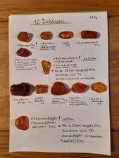 12 Inklusen seltene Stücke (Borstenschwanz, Fransenflügler) insgesamt 46,3g