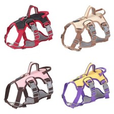 2025 Sicherheitsgeschirr