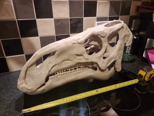Iguanodon replik schädel - iguanodon,