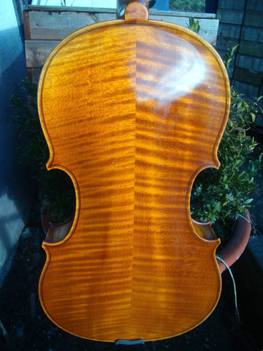 Viola bratsche cm mit - /, 42