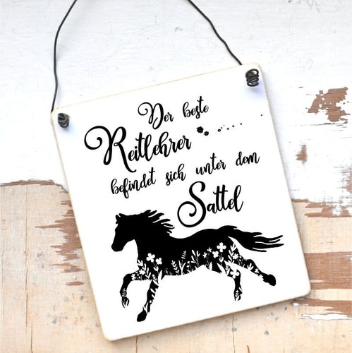 Schild mit spruch der beste - mit,
