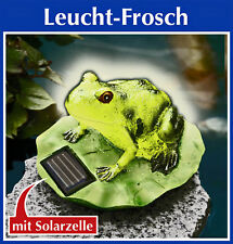 2x Wenko SOLAR Leucht FROSCH