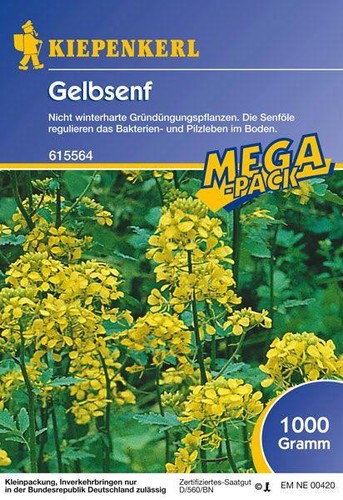 Gelbsenf gründünger 1kg - gründünger,