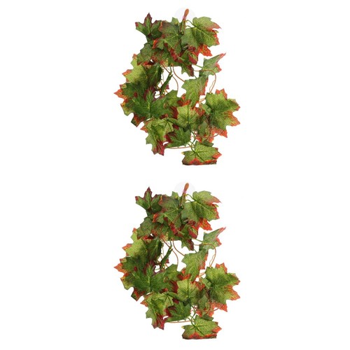 Pack terrarienpflanzen - 2,