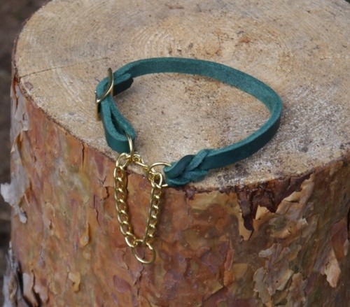Grünes fettlederhalsband - fettlederhalsband, m