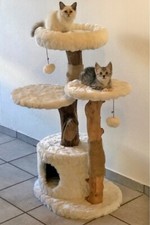 Großer Design Kratzbaum 3