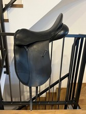 Hintermayer Anatomic