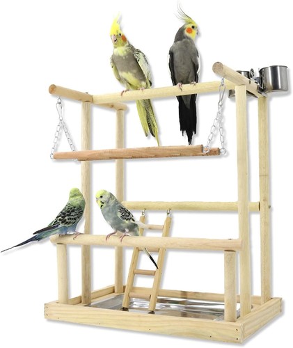 Wellensittich spielplatz holz - spielplatz,