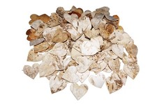 80 Stk Birkenherzen Deko Birke