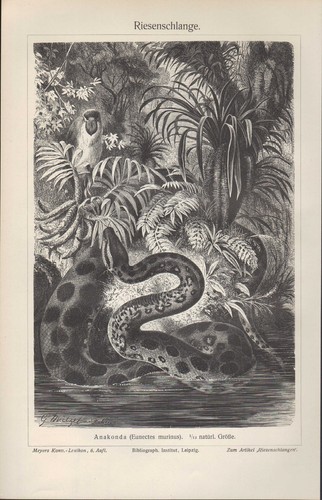 Lithografie 1908