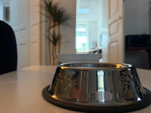 Hunde fressnapf edelstahl - hunde,