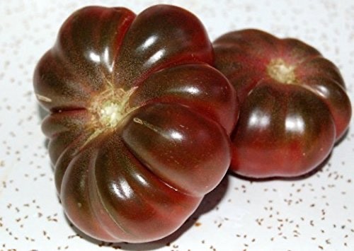 Tomaten samen purple calabash - samen,