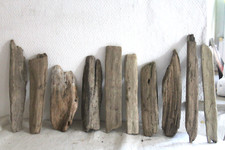 Schwemmholz treibholz - schwemmholz, 10