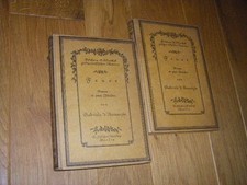 Feuer. Roman in zwei Bänden