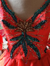 Tolles Tanz/Showkleid Minni