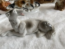 Russischer wolfshund greyhound - wolfshund,