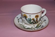 VILLEROY BOCH V&B Botanica Teegedeck 2-tlg Teetasse mit Untertasse 12096 + 0543