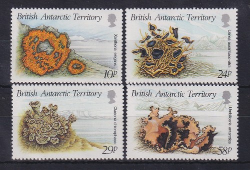 Britische antarktis 1989 - britische,