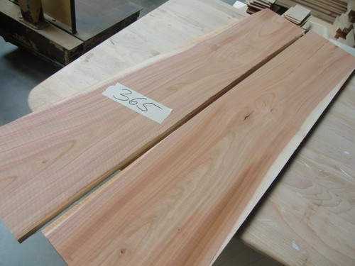 365 edelholz bastel - 365++, edelholz,