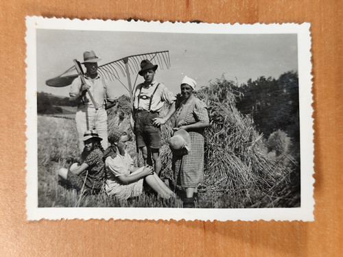 Foto ernte heuernte bauer - ernte,