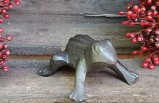 Kleiner sitzender Frosch  aus