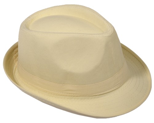 Street style fedora - style, trilby