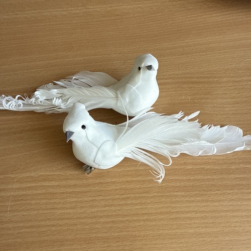 Vögel tauben hochzeit - vögel,