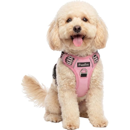 Hundegeschirr kleine hunde - kleine,