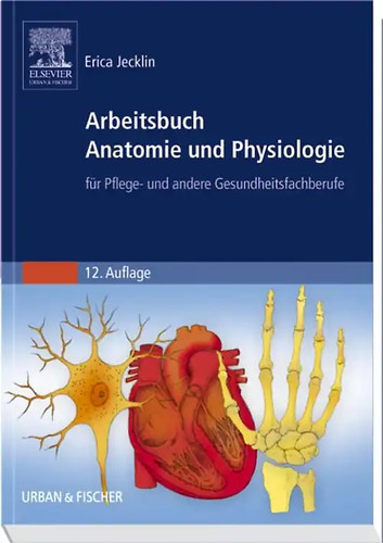 Arbeitsbuch anatomie und - arbeitsbuch,