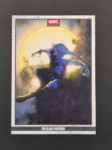 Panini marvel anthology 2025 - marvel,
