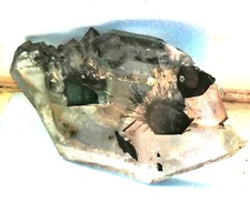 Katze Gesicht als Scheibe  aus