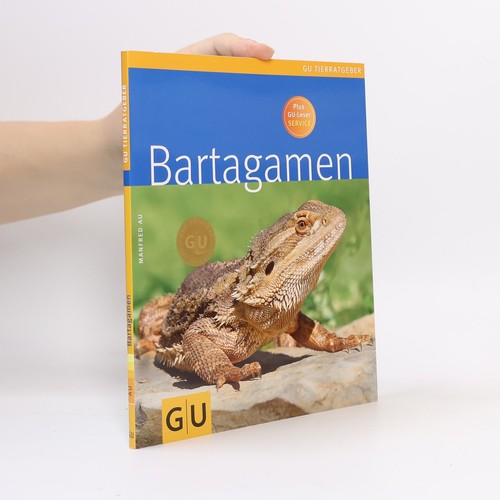 Bartagamen manfred au - bartagamen ,