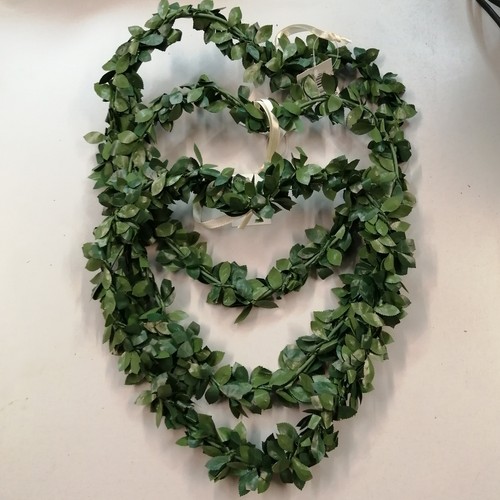 Herz grün rosenblätter - herz,