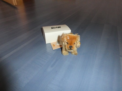 Steiff pekinese 031328 10cm - pekinese,