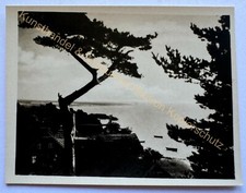 Foto Ostpreußen Masuren Blick